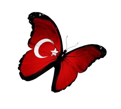 Tyrkia flag bakgrunns har for øyeblikket 762 rangeringer med gjennomsnittlig vurderingsverdi på 4.7. Tyrkisk flagg