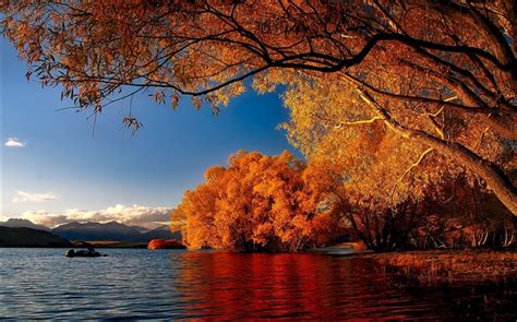 New Zealand Autumn Lakes Nature Scenery Wallpaper View