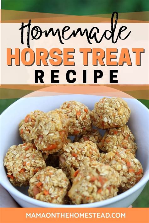 How To Make Simple Homemade Horse Treats Mama On The Homestead
