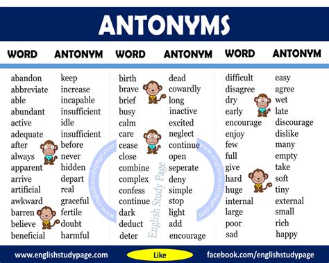 Detailed Antonym Word List English Study Page