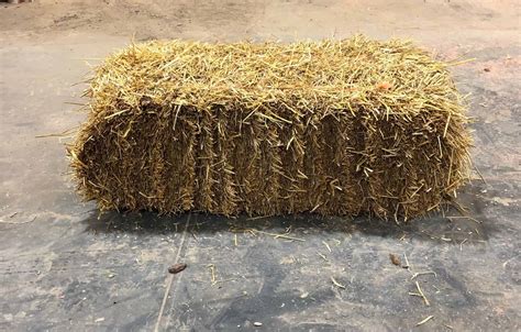 Straw Bale Large Great For Fall Decoration And Displays Grimms