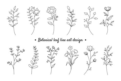 Flower Line Drawing Vector Art Icons And Graphics For Free Download
