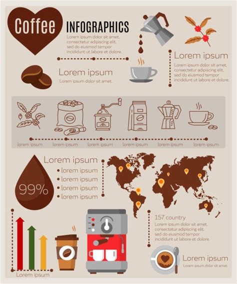 520 Infographics Coffee Production Stock Illustrations Royalty Free