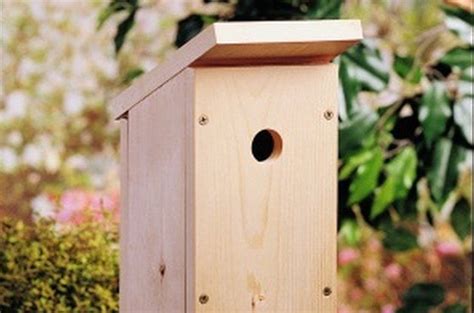 Bluebird House Plans How To Build A Simple Diy Bluebird 40 Off