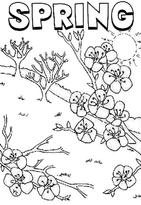 Adult coloring pages free spring. Springtime Is Time For Flower To Bloom Coloring Page ...