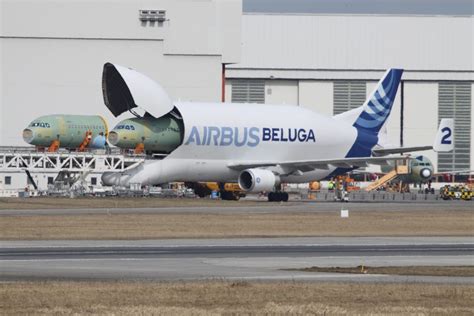 More noteworthy the beluga has carried space station components and even helicopters. What We Know About the Airbus Beluga XL - Jettly Private ...