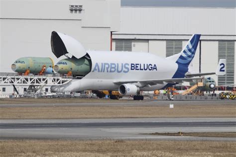 The airbus belugaxl which entered service on january 9, 2020 is a large transport aircraft based on the airbus a330 airliner. What We Know About the Airbus Beluga XL - Jettly Private ...