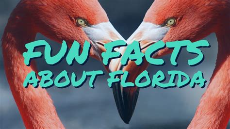 Ormond Beach Photography Fun Facts About Florida