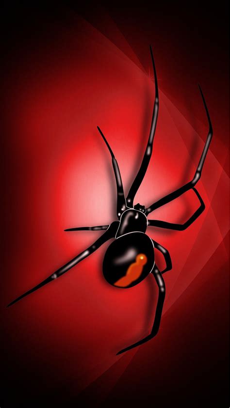 Black Widow Spider Web Drawing Black Widow The Female Spider Hangs