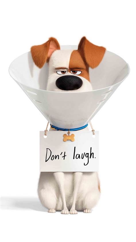 When you stumble across a video you like, you can download it onto your phone to watch over and over again. Max In The Secret Life of Pets 2 Free 4K Ultra HD Mobile ...