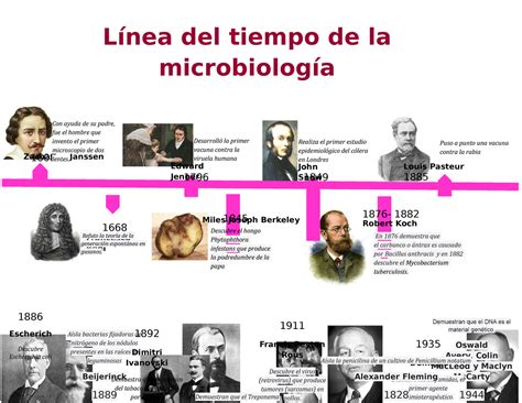 L Nea Del Tiempo De La Microbiolog A L Nea Del Tiempo De La
