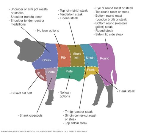 Common Lean Cuts Of Beef Mayo Clinic