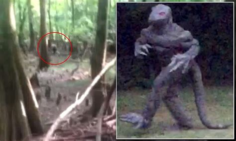 south carolina s lizard man may have been captured in new images daily mail online
