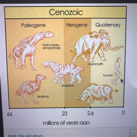 Study The Image About Geologic Time During Which Period Did Humans