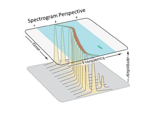 Spectrogram Types The Many Faces Of The Spectrogram Tektronix