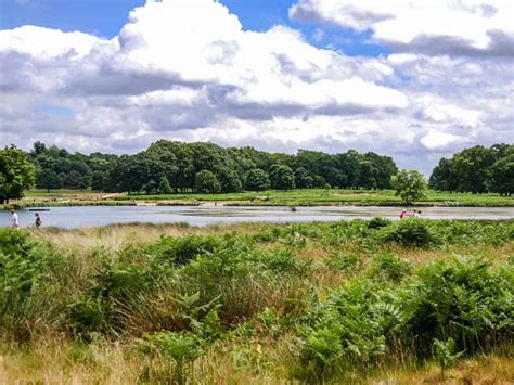 Address, phone number, richmond park reviews: How to get to Richmond Park - the best advice on how not ...