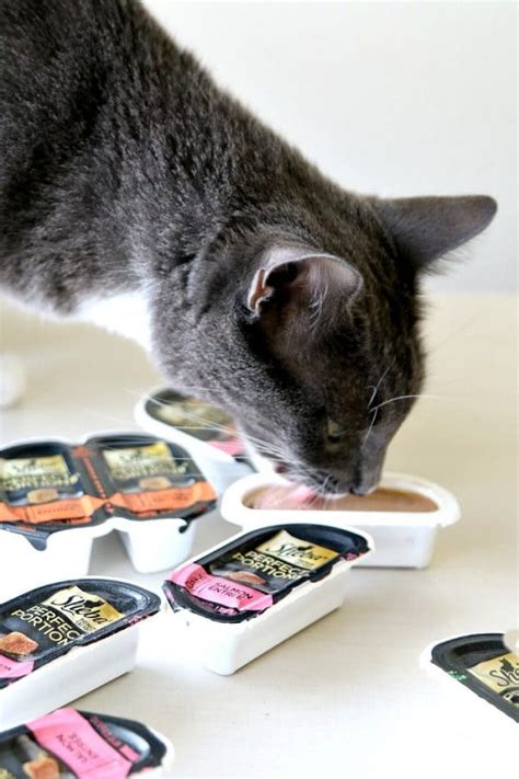 Not all brands will disclose calorie counts on the label, and you may need to visit the brand's website to find the information. How much canned food to feed a cat per day?