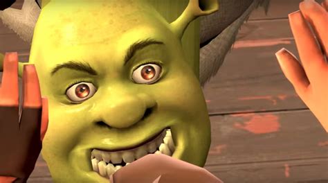 what are you doing in my swamp know your meme
