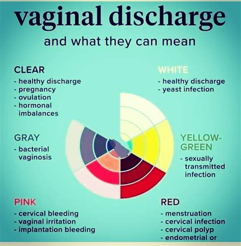 Causes De Décharge Vaginale Blanche Haute Californie