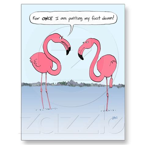Why Are Flamingos Pink Joke Freeloljokes