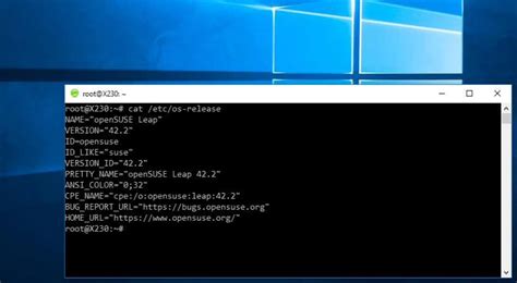 Mint doesn't ordinarily use.exe files, but it is possible to run some of them with a compatibility layer called wine. How to install openSUSE Linux On Windows 10