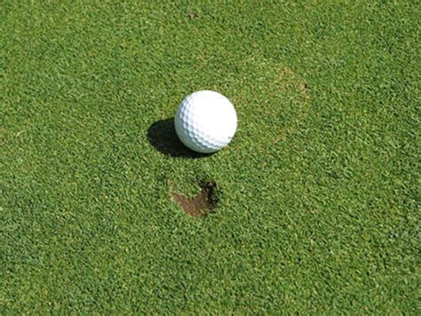 How To Properly Repair A Ball Mark Lakeshore Golf Course