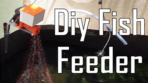 See more ideas about fish feeder, farm pond, diy pond. Diy Fish Feeder | Arduino project # 7 | MakerMan - YouTube