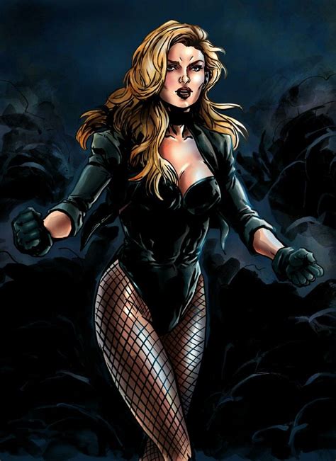 Black Canary Black Canary Female Superhero Superhero