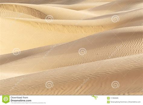 Beautiful Sand Dune In Thar Desert Stock Image Image Of Natural