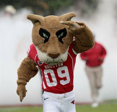 Crazy College Mascots Houston Cougars Mascot University Of Houston