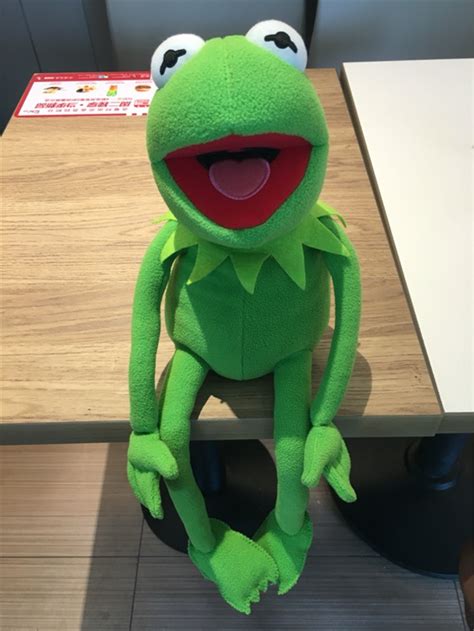 Kermit The Frog Sesame Street Characters