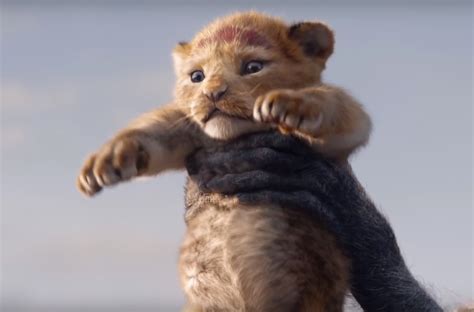Surprise Disney Drops First Trailer For “live Action” Film The Lion
