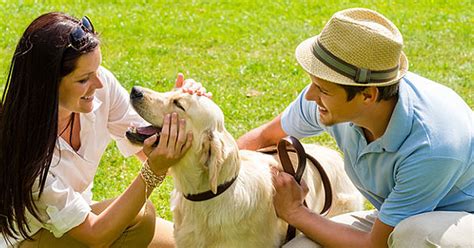 11 Tips On How To Introduce Dogs To New People And Other Dogs