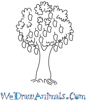 The best free mango drawing images. How to Draw a Mango Tree