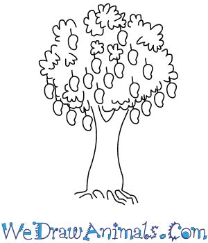 The best free mango drawing images. How to Draw a Mango Tree