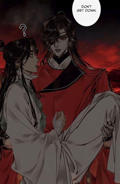Hua Cheng And Xie Lian Heavens Official Blessing Blessed Anime