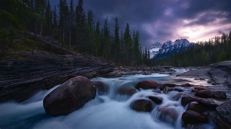 Water Stream Between Stones With Background Of Trees Snow