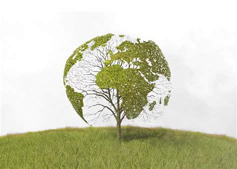 Whilst we might not be able to prevent climate change completely, we can take many steps that can help to reduce the future effects it could have on our planet. Ways to reduce global warming essay. Causes and Effects of ...