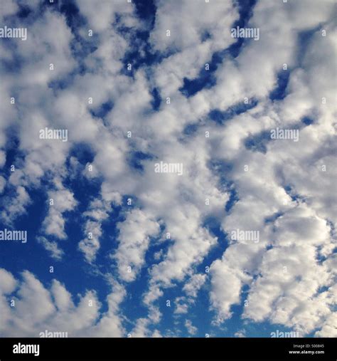 Mackerel Clouds Stock Photo 309793013 Alamy