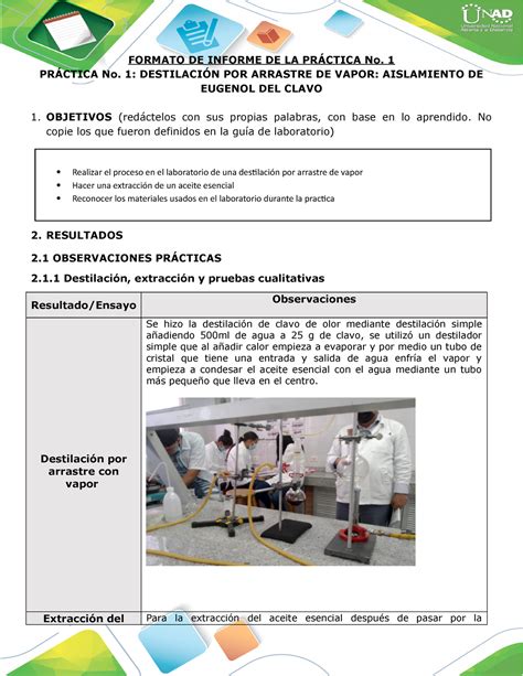 Anexo 1 Formato De Informe De Laboratorio Química Orgánica