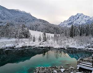 Photos, Zelenci, Nature, Reserve, Covered, In, Snow, In, Winter