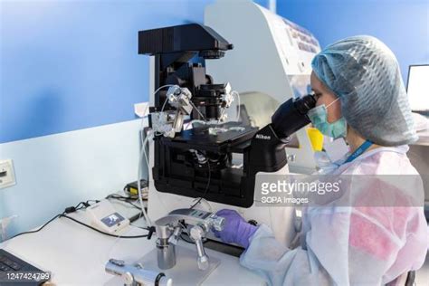 fertility lab photos and premium high res pictures getty images