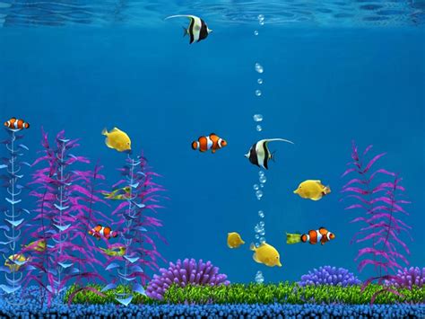 Populer 95 Animasi Ikan Bergerak Dalam Aquarium