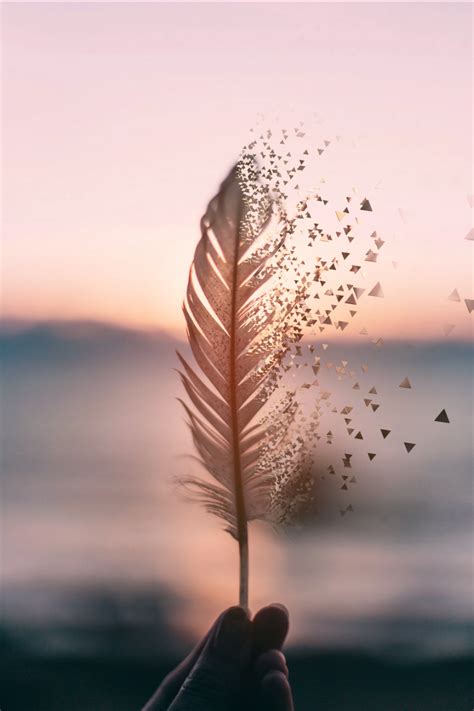 Photography Tumblr Wallpaper Feather Blowing In The Wind 1024x1537