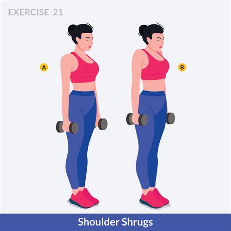 Shoulder Shrugs Exercise Woman Workout Fitness Aerobic And Exercises