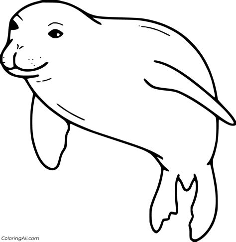 Monk Seal Coloring Pages Coloringall