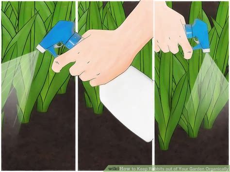 There are endless ways to keep rabbits out of your garden, but a lot of them include hurting the rabbits. 3 Ways to Keep Rabbits out of Your Garden Organically ...