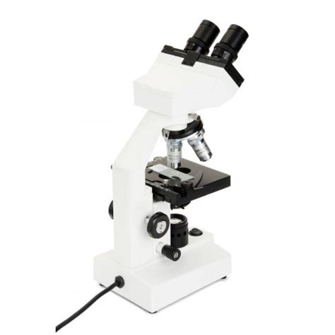 Celestron Labs Cb Cf Compound Binocular Microscope