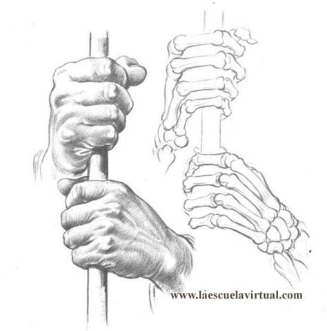 Es comúnmente llamado dibujo con perspectiva de dos puntos. Tutorial dibujando manos posiciones, anatomia, forma ...
