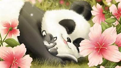 Panda Wallpapers Cave Desktop Background Cub Fullscreen